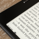A close-up of an ebook opened on the Onyx Boox Leaf 2 e-reader.